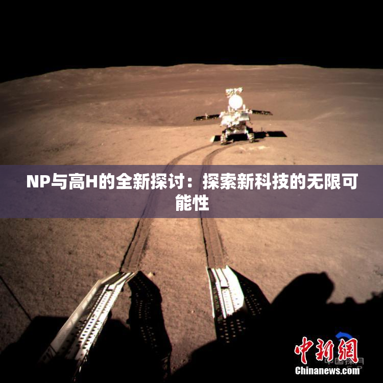 NP与高H的全新探讨：探索新科技的无限可能性