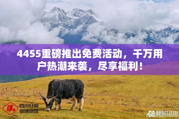 4455重磅推出免费活动，千万用户热潮来袭，尽享福利！