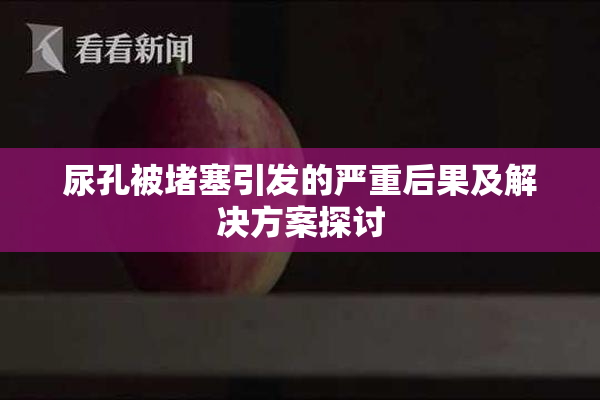 尿孔被堵塞引发的严重后果及解决方案探讨