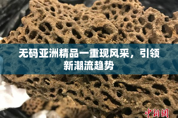 无码亚洲精品一重现风采，引领新潮流趋势