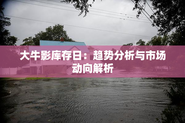 大牛影库存日：趋势分析与市场动向解析