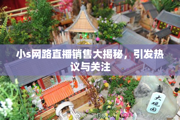 小s网路直播销售大揭秘，引发热议与关注
