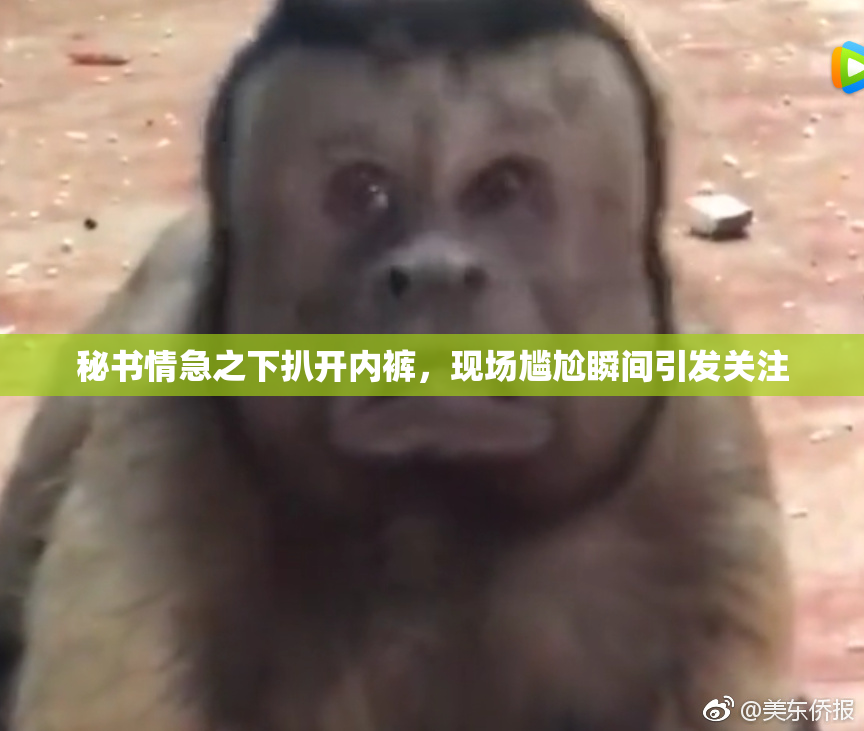 秘书情急之下扒开内裤，现场尴尬瞬间引发关注