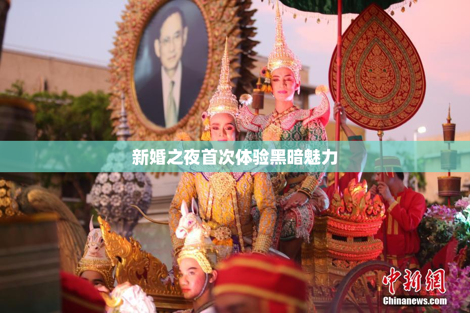 新婚之夜首次体验黑暗魅力