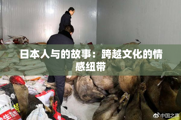 日本人与的故事：跨越文化的情感纽带