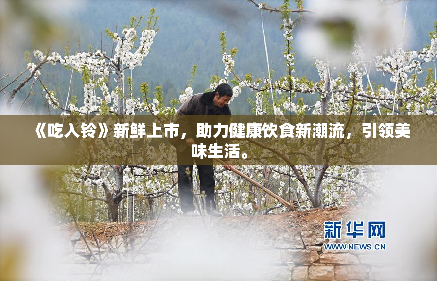 《吃入铃》新鲜上市，助力健康饮食新潮流，引领美味生活。