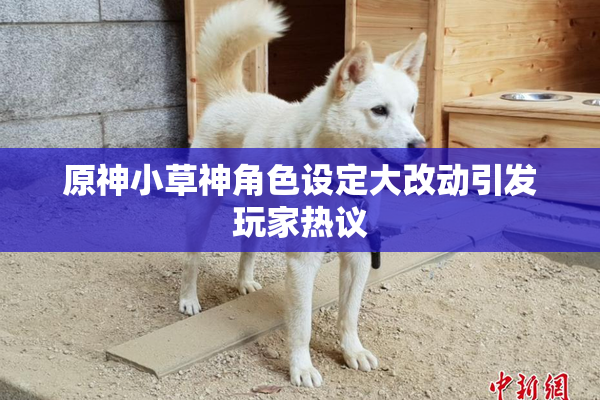 原神小草神角色设定大改动引发玩家热议