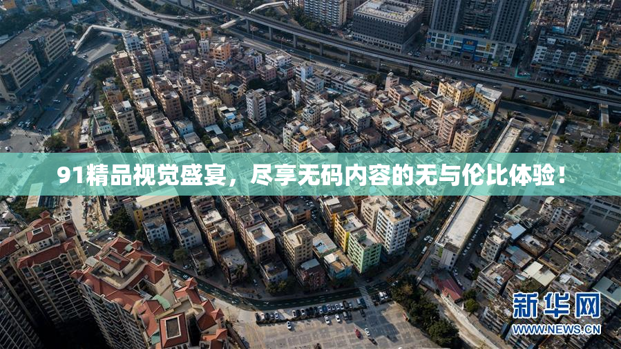 91精品视觉盛宴，尽享无码内容的无与伦比体验！