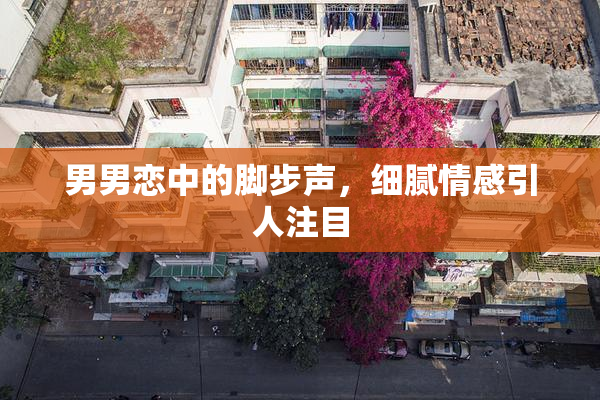 男男恋中的脚步声，细腻情感引人注目