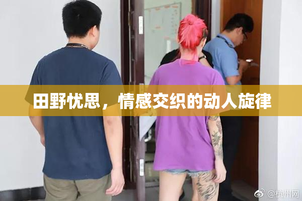 田野忧思，情感交织的动人旋律