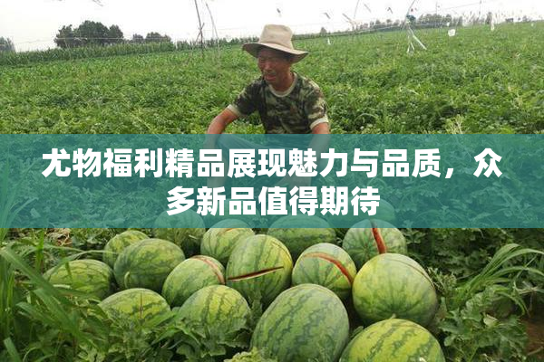 尤物福利精品展现魅力与品质，众多新品值得期待