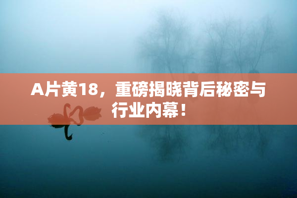 A片黄18，重磅揭晓背后秘密与行业内幕！