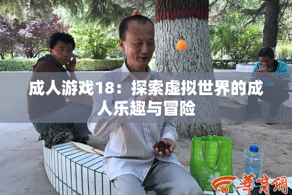 成人游戏18：探索虚拟世界的成人乐趣与冒险