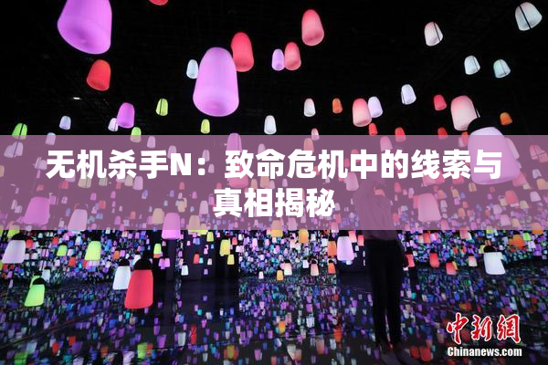 无机杀手N：致命危机中的线索与真相揭秘