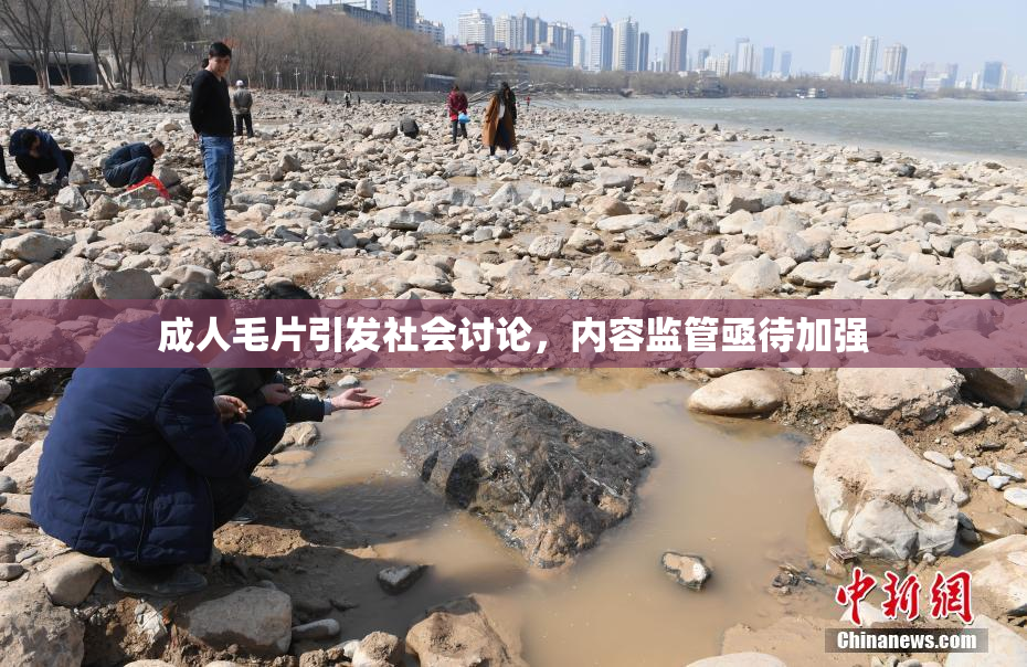 成人毛片引发社会讨论，内容监管亟待加强
