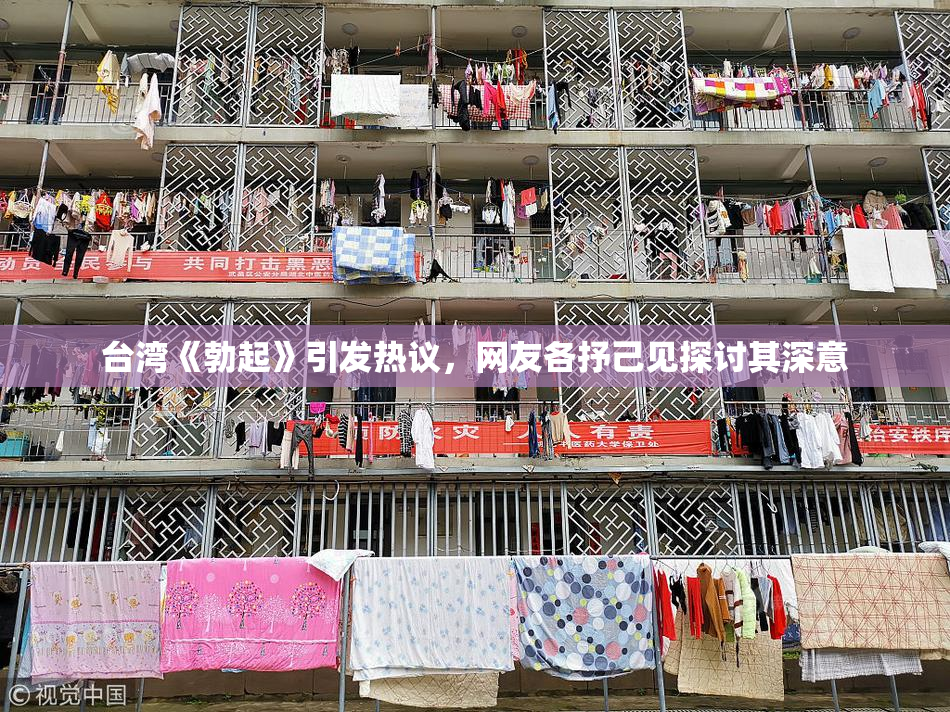 台湾《勃起》引发热议，网友各抒己见探讨其深意