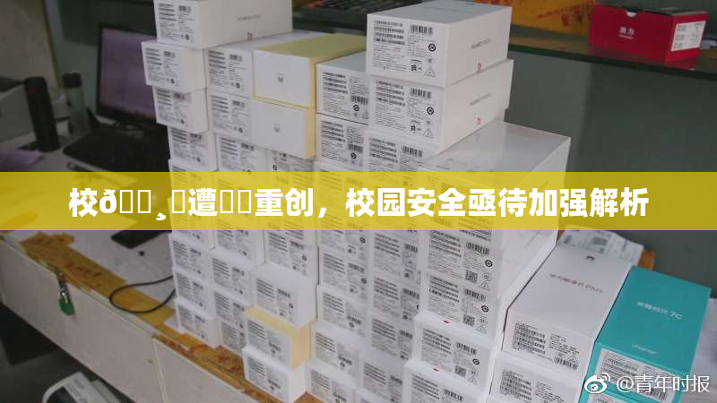 校🌸‌遭❌‌重创，校园安全亟待加强解析