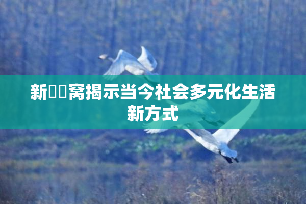 新妺妺窝揭示当今社会多元化生活新方式