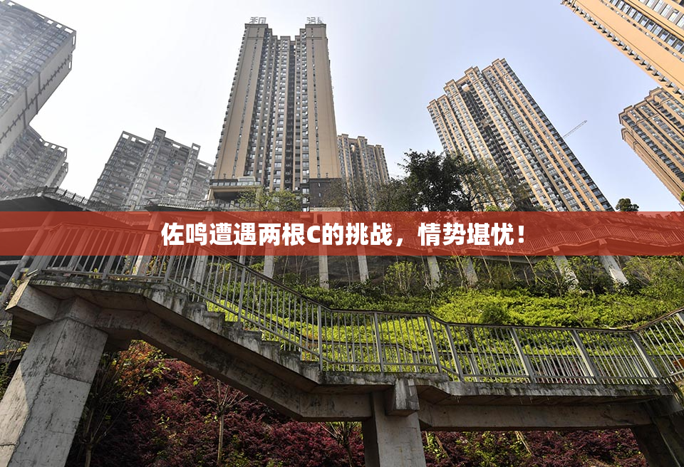 佐鸣遭遇两根C的挑战，情势堪忧！