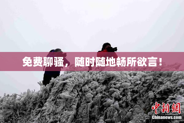 免费聊骚，随时随地畅所欲言！