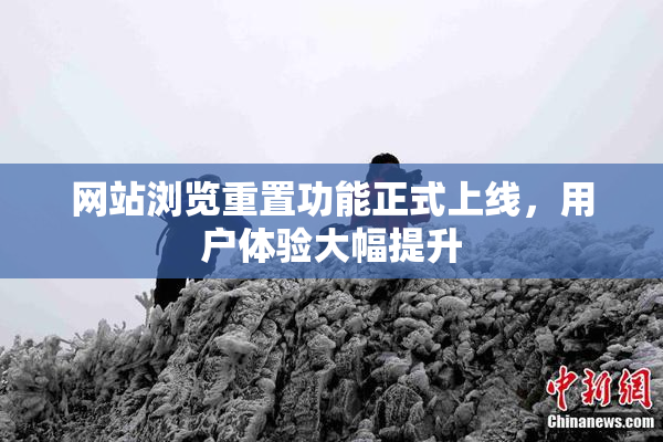 网站浏览重置功能正式上线，用户体验大幅提升