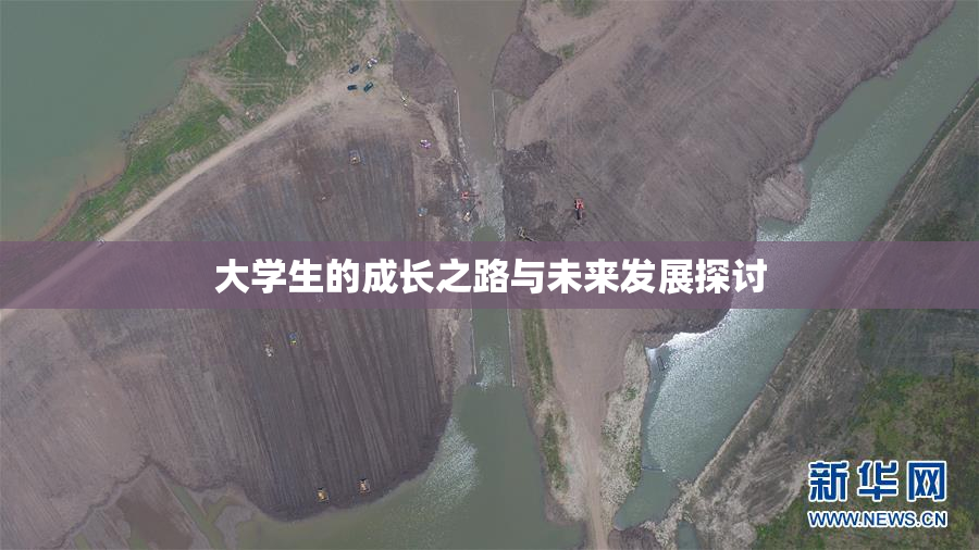 大学生的成长之路与未来发展探讨