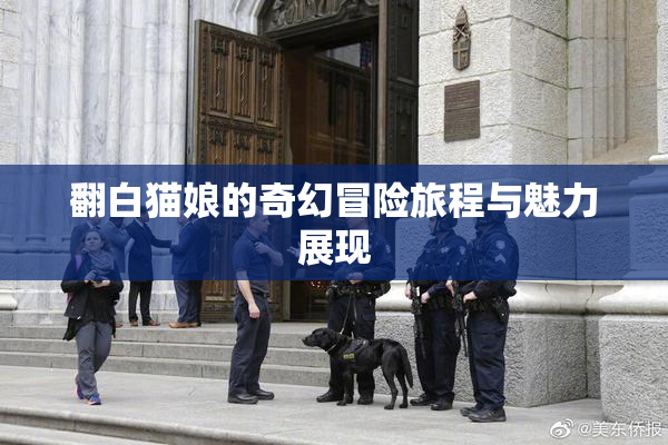 翻白猫娘的奇幻冒险旅程与魅力展现