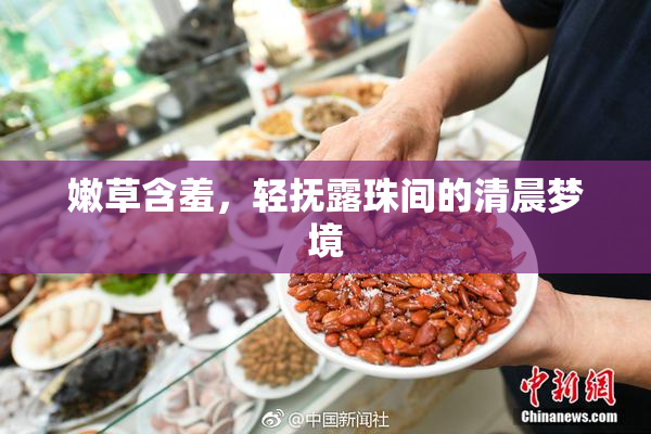 嫩草含羞，轻抚露珠间的清晨梦境