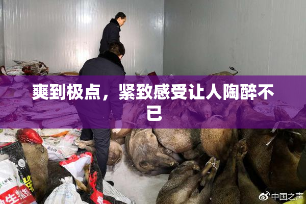 爽到极点，紧致感受让人陶醉不已