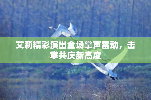 艾莉精彩演出全场掌声雷动，击掌共庆新高度