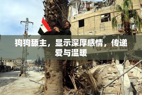 狗狗舔主，显示深厚感情，传递爱与温暖