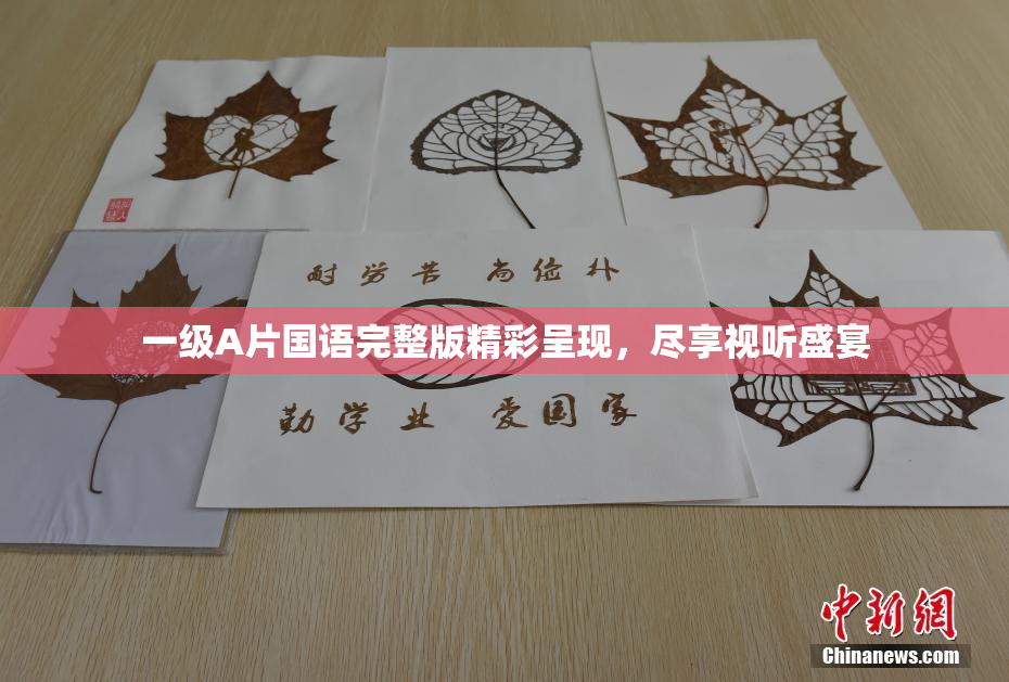 一级A片国语完整版精彩呈现，尽享视听盛宴