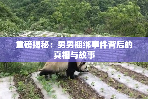 重磅揭秘：男男捆绑事件背后的真相与故事