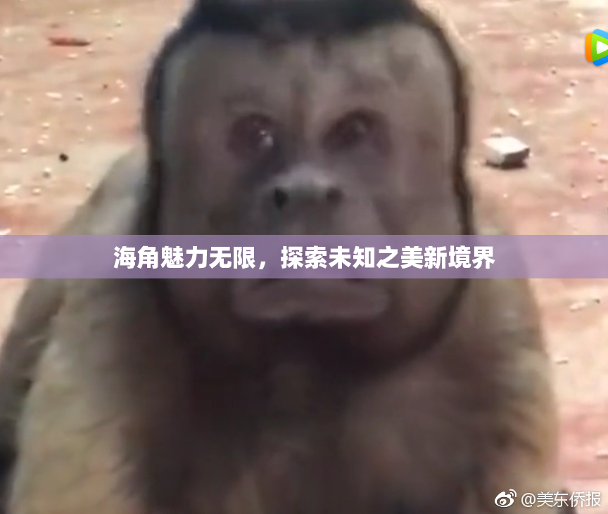 海角魅力无限，探索未知之美新境界