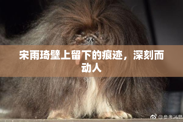 宋雨琦壁上留下的痕迹，深刻而动人