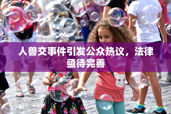 人兽交事件引发公众热议，法律亟待完善