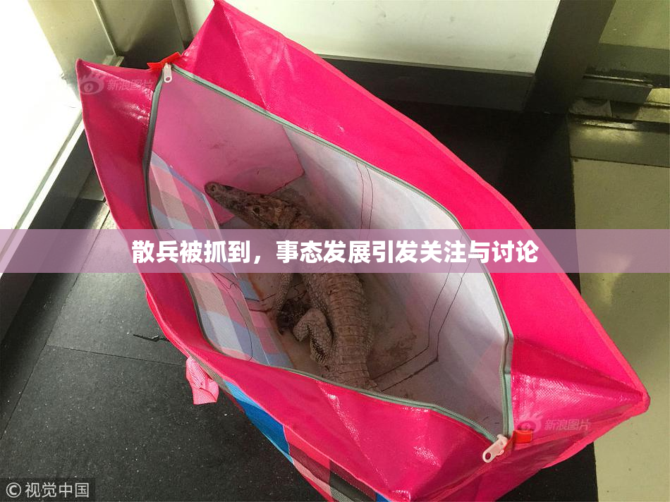 散兵被抓到，事态发展引发关注与讨论
