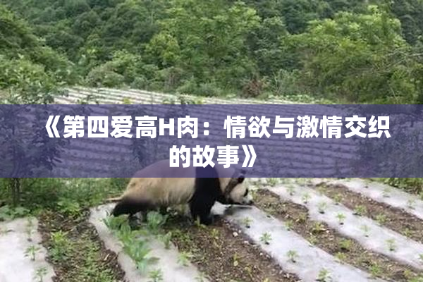 《第四爱高H肉：情欲与激情交织的故事》