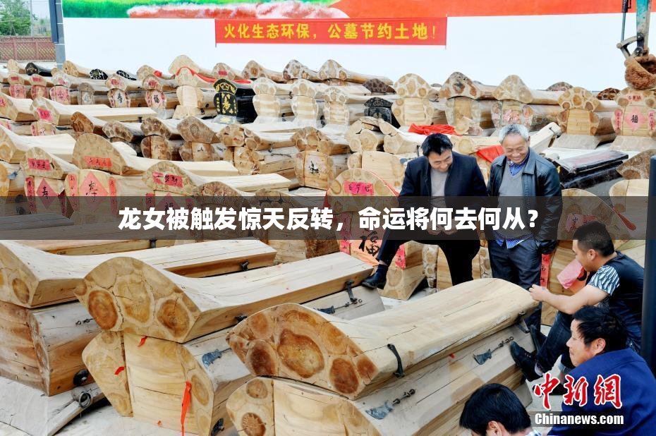 龙女被触发惊天反转，命运将何去何从？