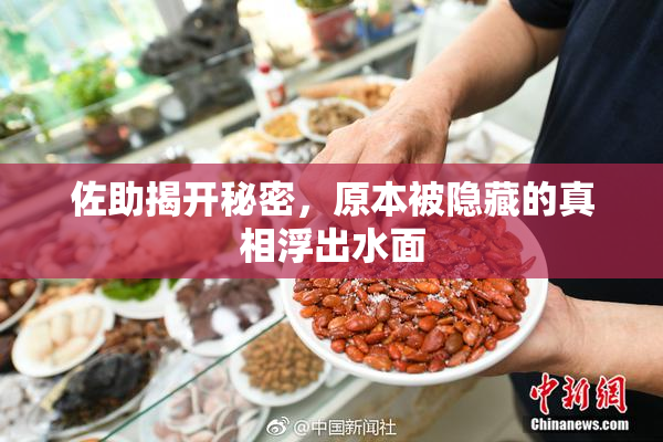 佐助揭开秘密，原本被隐藏的真相浮出水面
