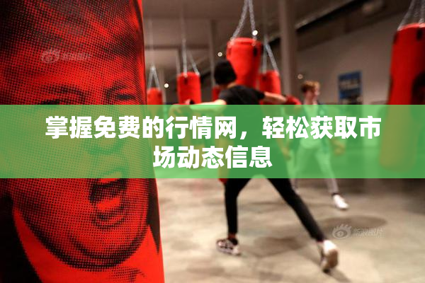 掌握免费的行情网，轻松获取市场动态信息