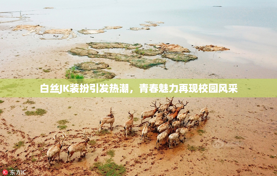 白丝JK装扮引发热潮，青春魅力再现校园风采