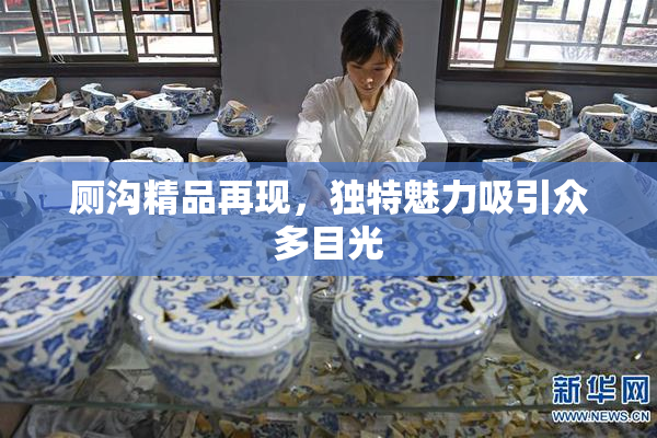 厕沟精品再现，独特魅力吸引众多目光