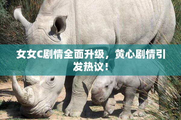 女女C剧情全面升级，黄心剧情引发热议！