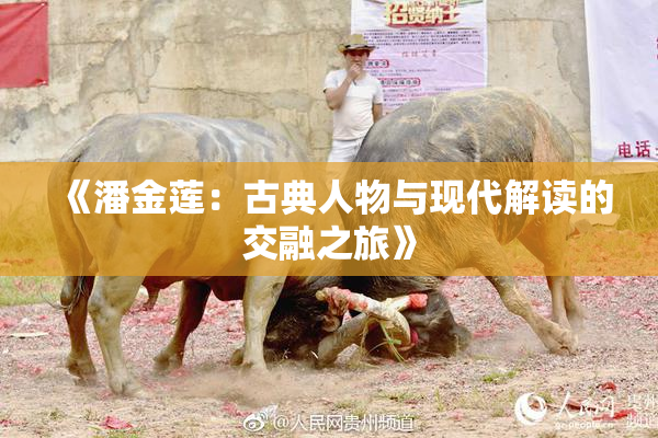 《潘金莲：古典人物与现代解读的交融之旅》