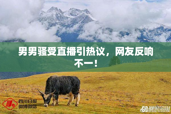 男男骚受直播引热议，网友反响不一！