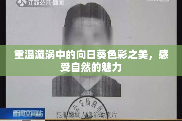 重温漩涡中的向日葵色彩之美，感受自然的魅力