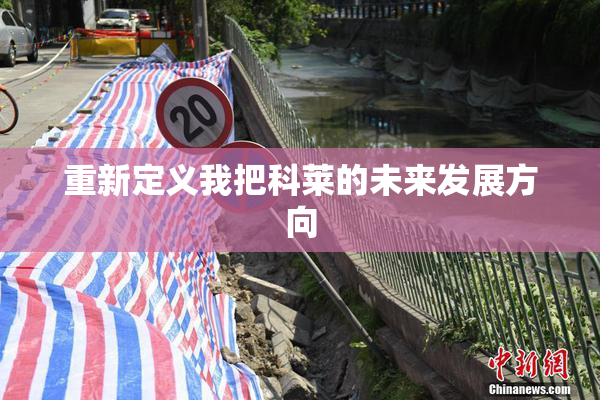 重新定义我把科莱的未来发展方向