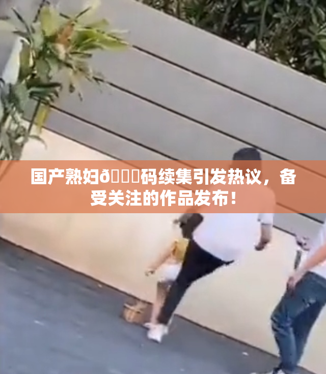 国产熟妇🈚码续集引发热议，备受关注的作品发布！