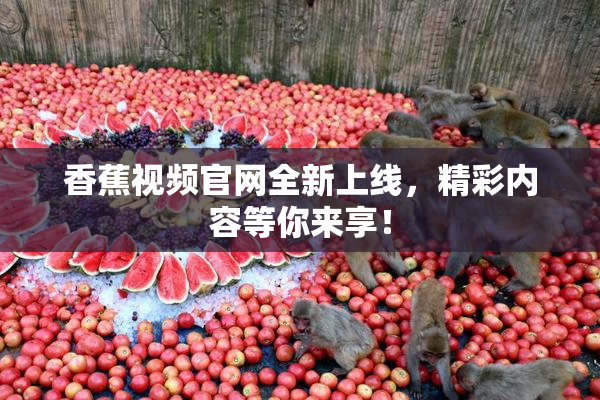 香蕉视频官网全新上线，精彩内容等你来享！